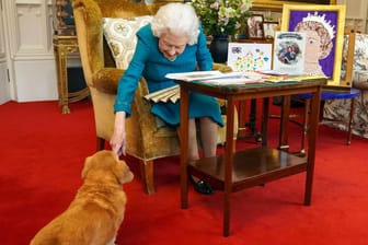 Queen Elizabeth II. begrüßt einen ihrer Hunde in Windsor (Archivbild): Die Königin hat unter dem Namen ihres Sommersitzes hat jetzt sogar einen Parfüm für Vierbeiner herausgegeben.