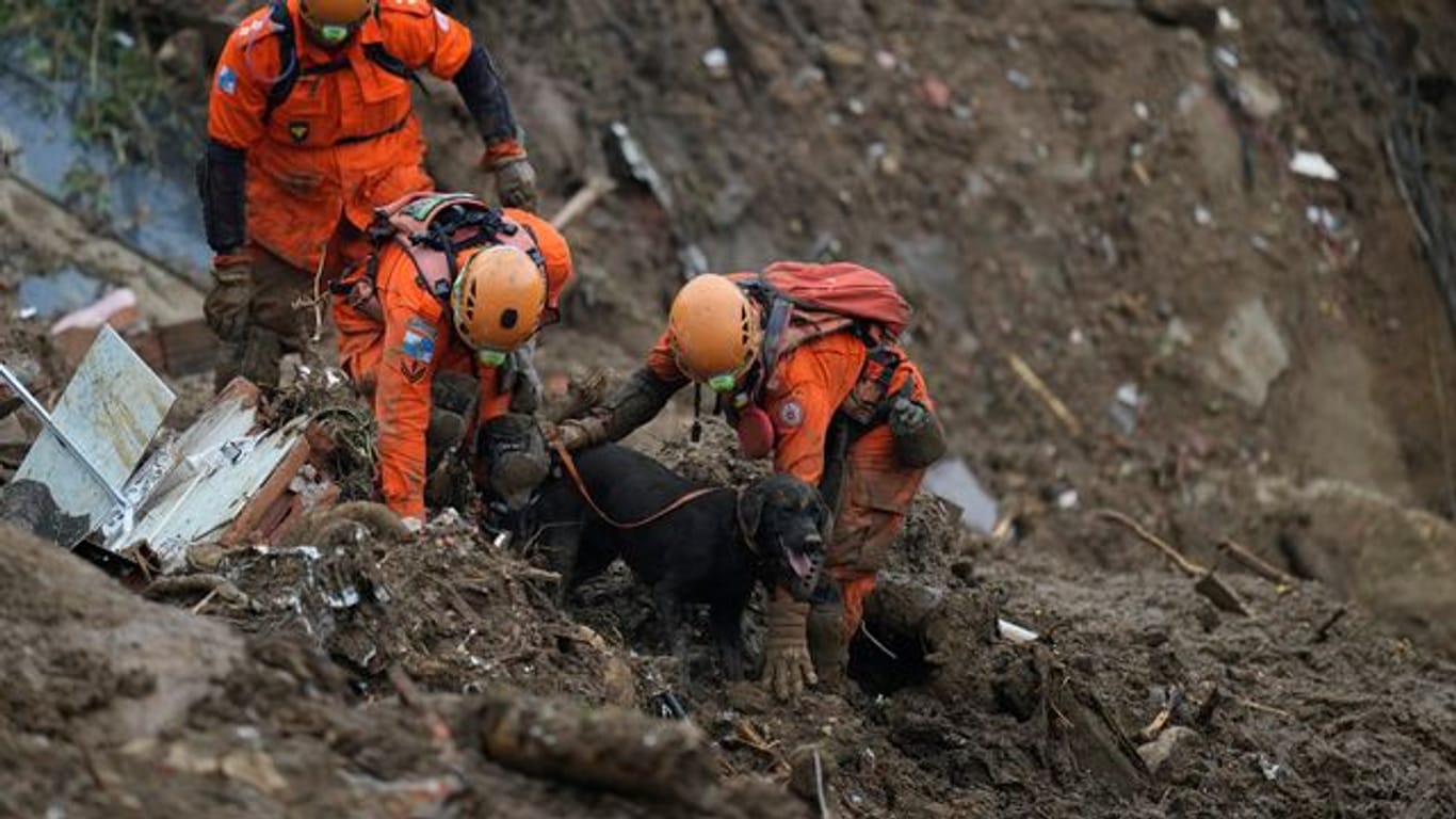 Rettungskräfte suchen im brasilianischen Petrópolis mit einem Spürhund nach Opfern des Erdrutsches.