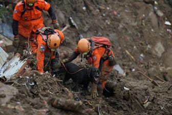 Rettungskräfte suchen im brasilianischen Petrópolis mit einem Spürhund nach Opfern des Erdrutsches.