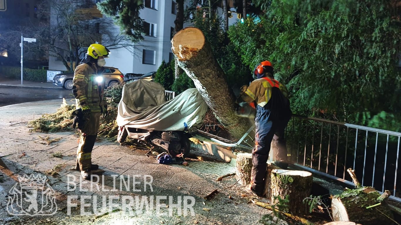 Dauerstress für die Feuerwehr: Die Helfer mussten in der Nacht zahlreiche Bäume von den Straßen holen.