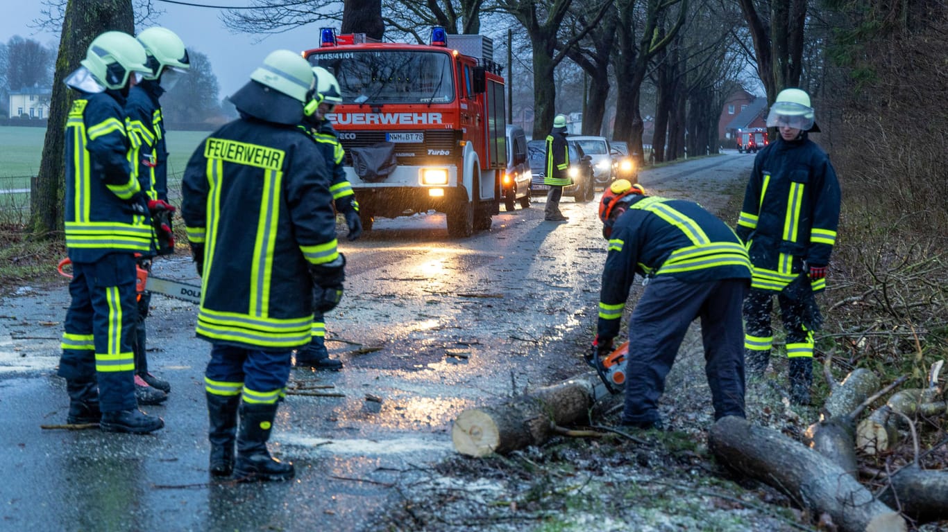 Mecklenburg-Vorpommern: Das Orkantief "Ylenia" hat zahlreiche Schäden angerichtet.