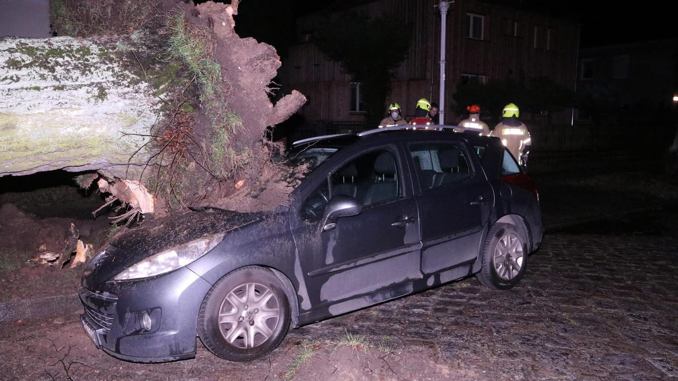 Ein massiver Baum hat in Berlin ein Auto getroffen: Sturmtief "Ylenia" sorgte in der Nacht für zahlreiche Einsätze.