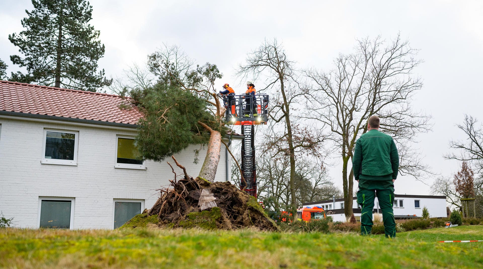Niedersachsen, Bad Bevensen: Viele Sachschäden wurden durch umstürzende Bäume verursacht. Hier helfen Einsatzkräfte der Freiwilligen Feuerwehr über eine Drehleiter dabei, den Baum vom Hausdach zu entfernen.