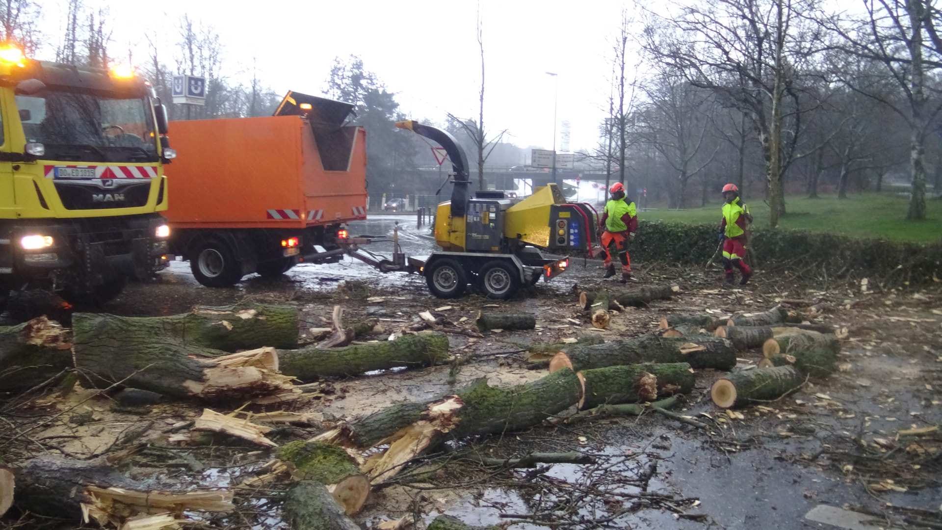 Ein großer Baum auf der Strobelallee in Dortmund: In der Nähe des Signal-Iduna-Parks mussten Mitarbeiter der Stadt mit Kettensägen arbeiten. Ein großer Baum auf der Strobelallee in Dortmund: In der Nähe des Signal-Iduna-Parks mussten Mitarbeiter der Stadt mit Kettensägen arbeiten.