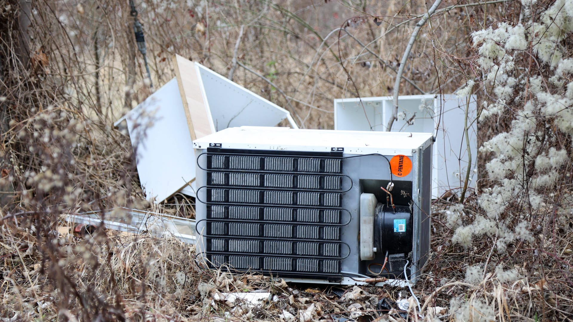 Illegaler Sperrmüll: Wer seine Elektrogeräte in der Natur ablädt, muss mit einer hohen Geldstrafe rechnen.