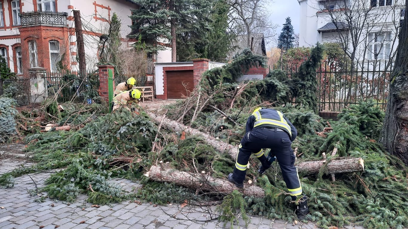 Feuerwehrleute zersägen einen umgestürzten Baum: Bürgern wurde im Vorfeld geraten, daheim zu bleiben und Fenster sowie Türen geschlossen zu halten.