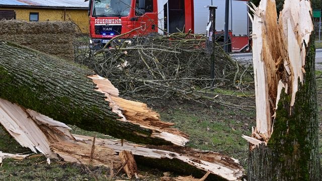 Ein Feuerwehrahrzeug steht hinter einem umgestürzten Baum