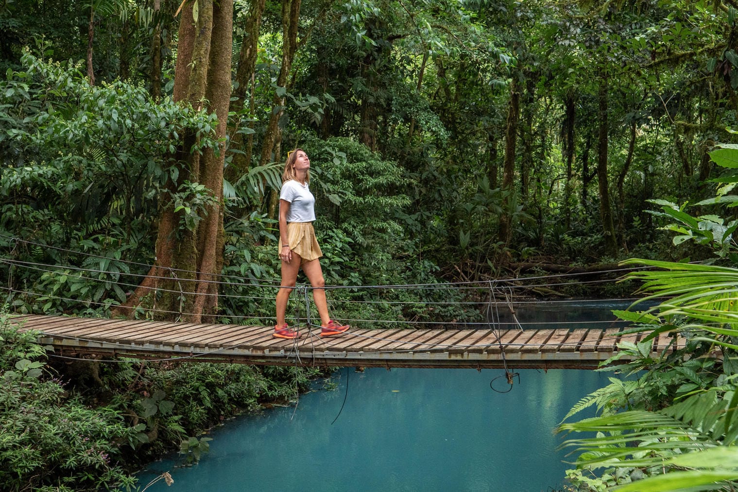 Regenwald in Costa Rica (Symbolbild): Touristen strömen aktuell geradezu nach Süd- und Mittelamerika.