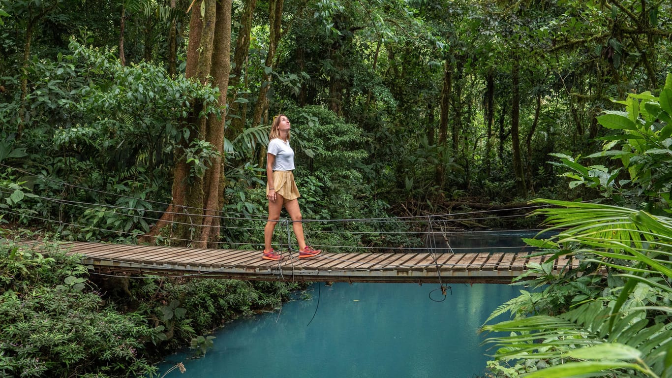 Regenwald in Costa Rica (Symbolbild): Touristen strömen aktuell geradezu nach Süd- und Mittelamerika.