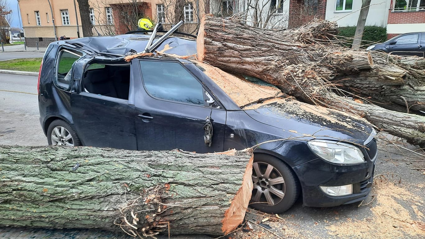 Noch zur Hälfte liegt der gestürzte Baum auf dem Auto: Mit Kettensägen, Äxten und Beilen zerteilte die Feuerwehr den Stamm.