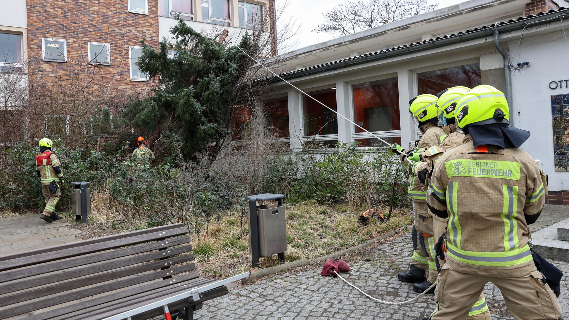 Ein Baum ist umgestürzt und auf das Dach der Otto-Wels-Grundschule im Bezirk Friedrichshain-Kreuzberg gefallen: Hunderte solcher Einsätze musste die Feuerwehr in Berlin am Donnerstag bewältigen.