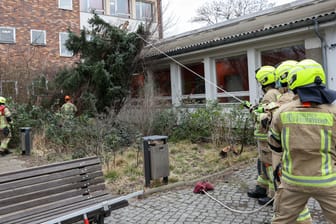 Ein Baum ist umgestürzt und auf das Dach der Otto-Wels-Grundschule im Bezirk Friedrichshain-Kreuzberg gefallen: Hunderte solcher Einsätze musste die Feuerwehr in Berlin am Donnerstag bewältigen.