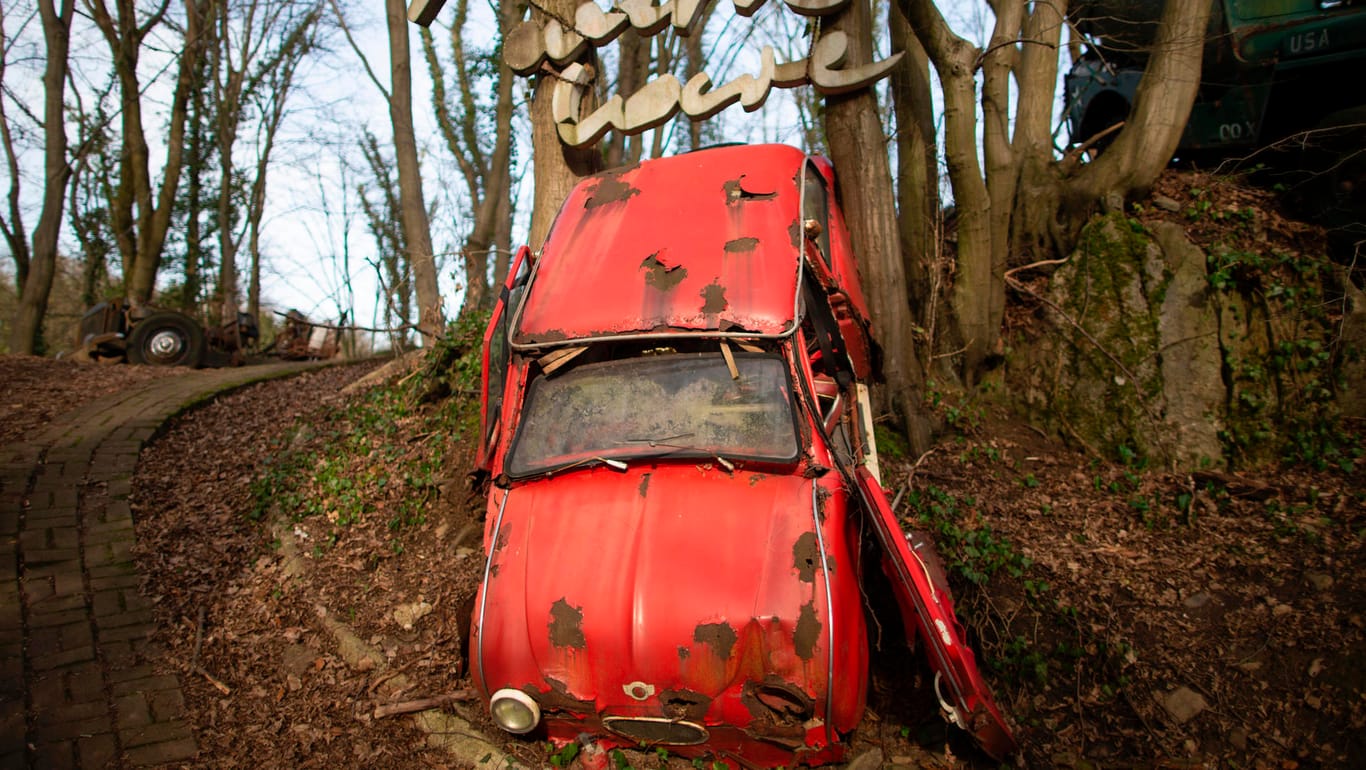 Das Heck des roten Goggomobils ist zwischen zwei Bäumen mit den Jahren in die Höhe gewachsen.