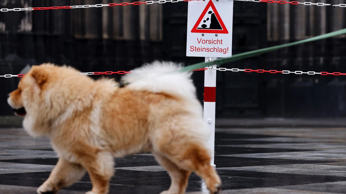 Ein Hund vorm Kölner Dom, vor dem ein Warnschild angebracht ist (Symbolbild): Die Stadt Köln warnt am Freitag wegen Sturmtief "Zeynep" Mensch und Tier davor, draußen zu sein.