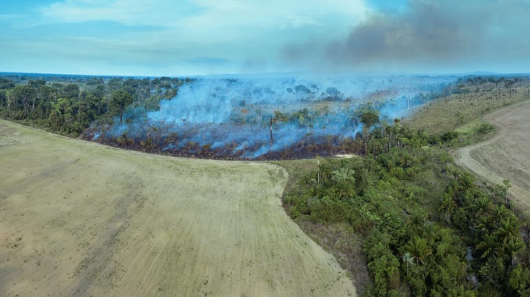 Die grüne Lunge der Erde brennt (Symbolbild): In Brasilien erreichen die Rodungen in den vergangenen Jahren immer wieder neue Höchstwerte. Das belastet das Weltklima.