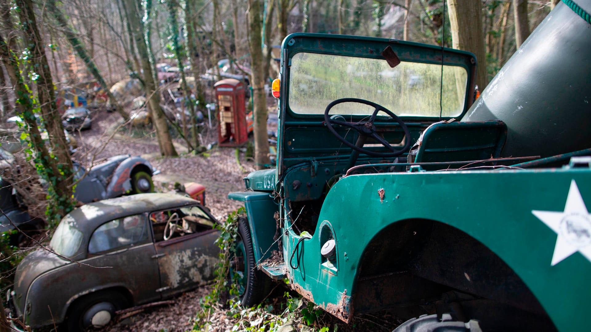 Der Auto-Skulpturen-Park im Neandertal: Die Stadt Erkrath wollte die Sammlung als illegalen Schrottplatz verbieten lassen.