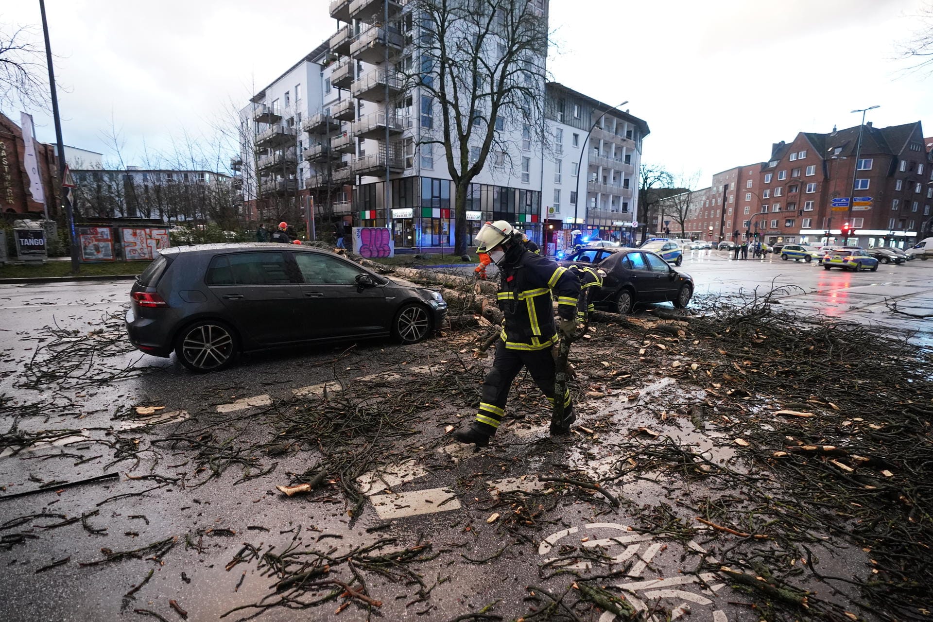 Hamburg: Auf der Straße Bahrenfelder Steindamm ist ein großer Baum auf zwei Fahrzeuge und einen Radfahrer gestürzt. Einsatzkräfte der Feuerwehr zersägten ihn und transportierten ihn ab.