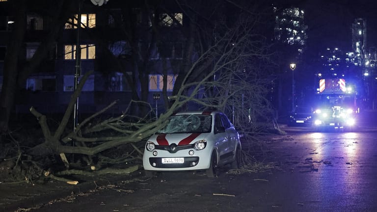Düsseldorf: Im Ortsteil Wersten stürzte ein Baum auf einen Pkw. Dabei riss er auch eine Gaslaterne um, sodass Gas am Umfallort ausströmte.