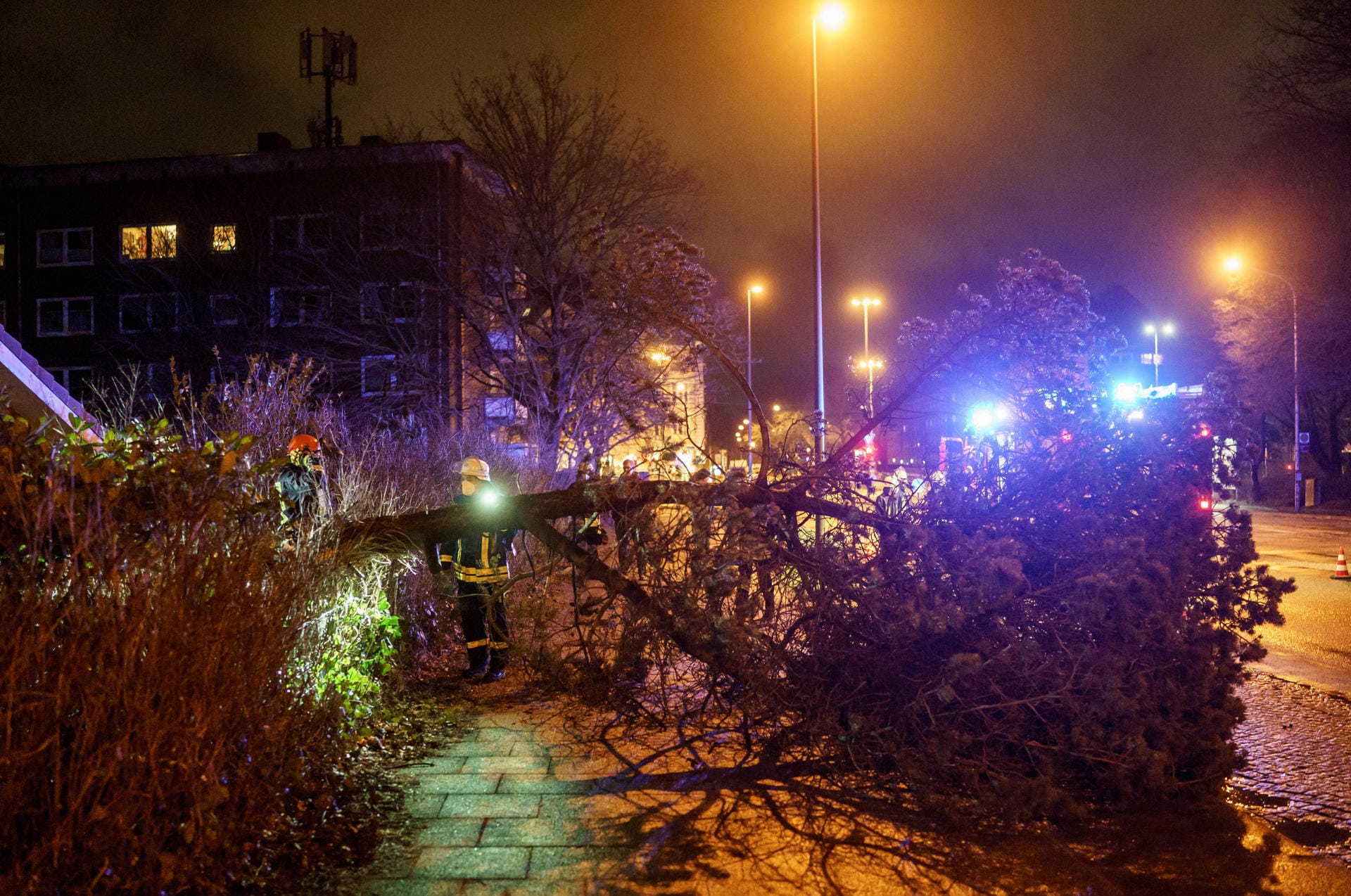 Schleswig-Holstein, Kiel: Einsatzkräfte der Freiwilligen Feuerwehr Kiel-Russee, räumen im strömenden Regen eine von umgeknickten Bäumen blockierte Straße.