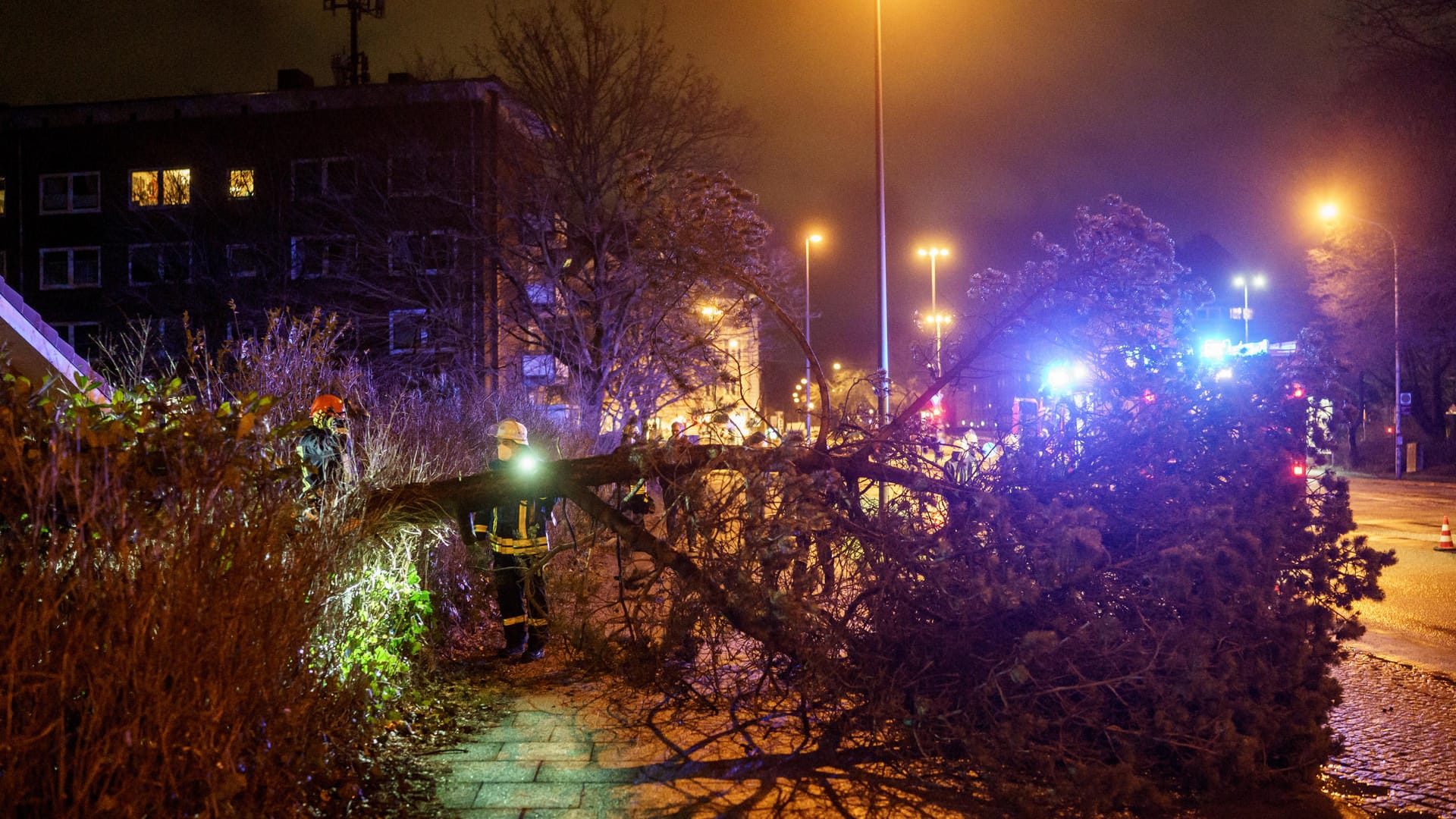 Schleswig-Holstein, Kiel: Einsatzkräfte der Freiwilligen Feuerwehr Kiel-Russee, räumen im strömenden Regen eine von umgeknickten Bäumen blockierte Straße.