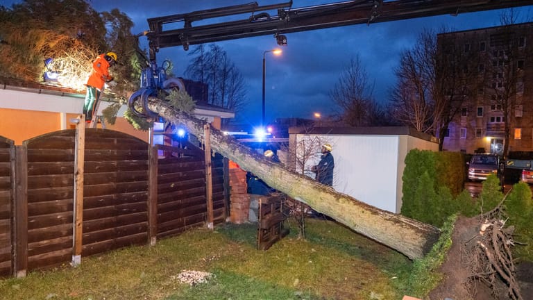 Mecklenburg-Vorpommern, Stralsund: Einsatzkräfte vom Technischen Hilfswerk (THW) räumen eine umgestürzten Baum von einem Dach.