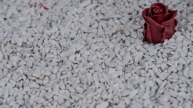 Anschläge von Hanau Anschläge von Hanau
