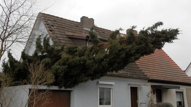 Sturmtief Zeynep - Berlin