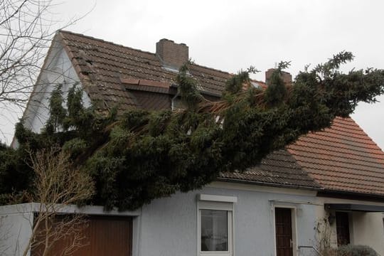 Sturmtief Zeynep - Berlin