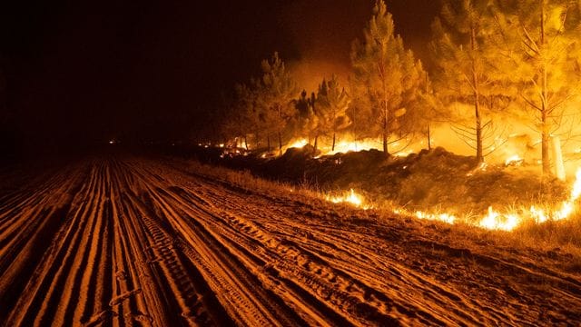 Ein Feuer wütet in einem Wald in der Nähe von Ituzaingo, in der Provinz Corrientes. Ein Feuer wütet in einem Wald in der Nähe von Ituzaingo, in der Provinz Corrientes.