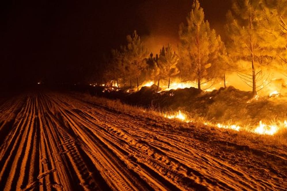 Ein Feuer wütet in einem Wald in der Nähe von Ituzaingo, in der Provinz Corrientes.
