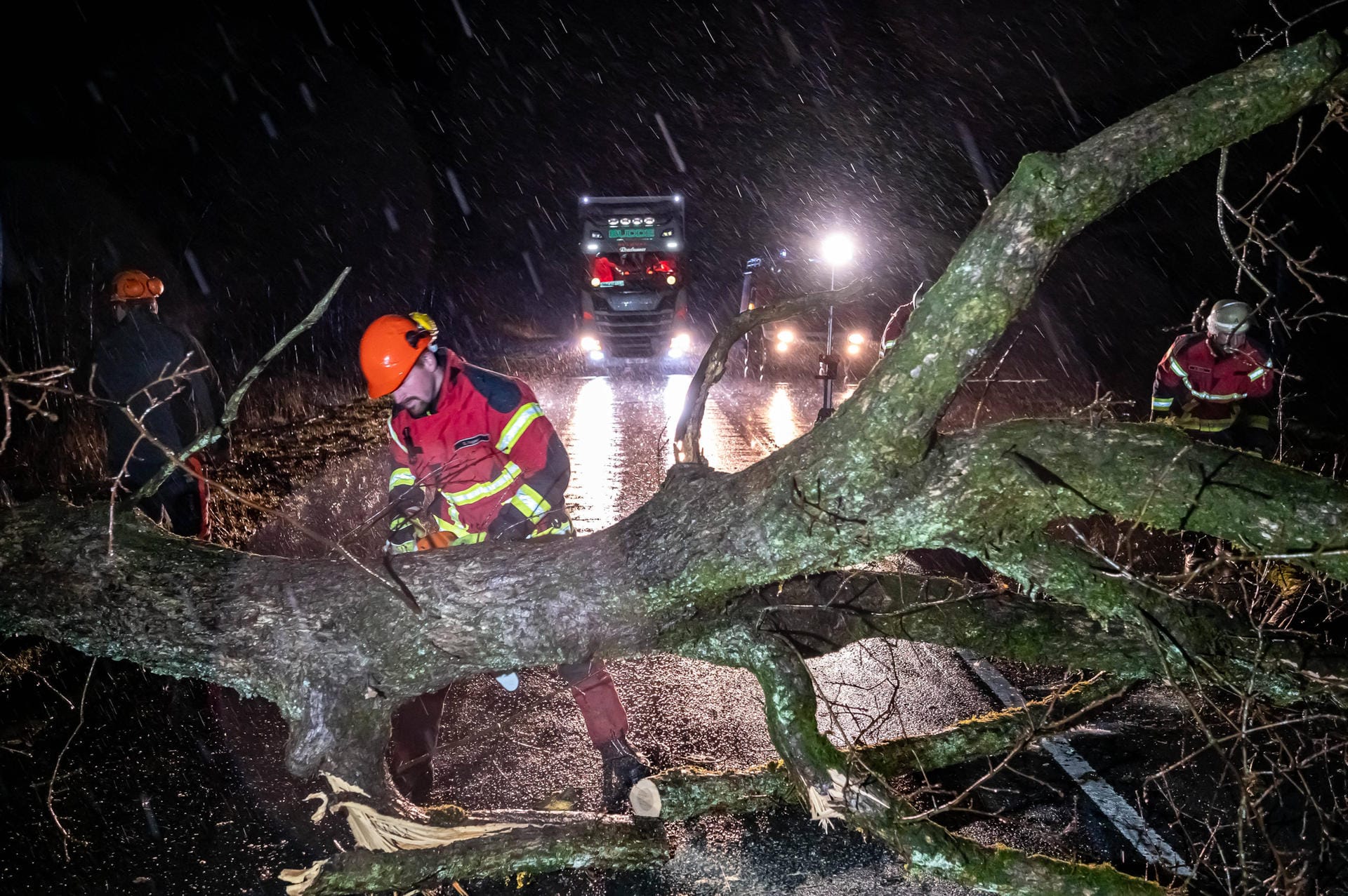 Nordrhein-Westfalen, Kierspe: Im sauerländischen Kierspe warf "Antonia" mehrere Bäume um. Unter anderem fiel einer zwölf Meter lange Eiche auf die Landstraße 528.
