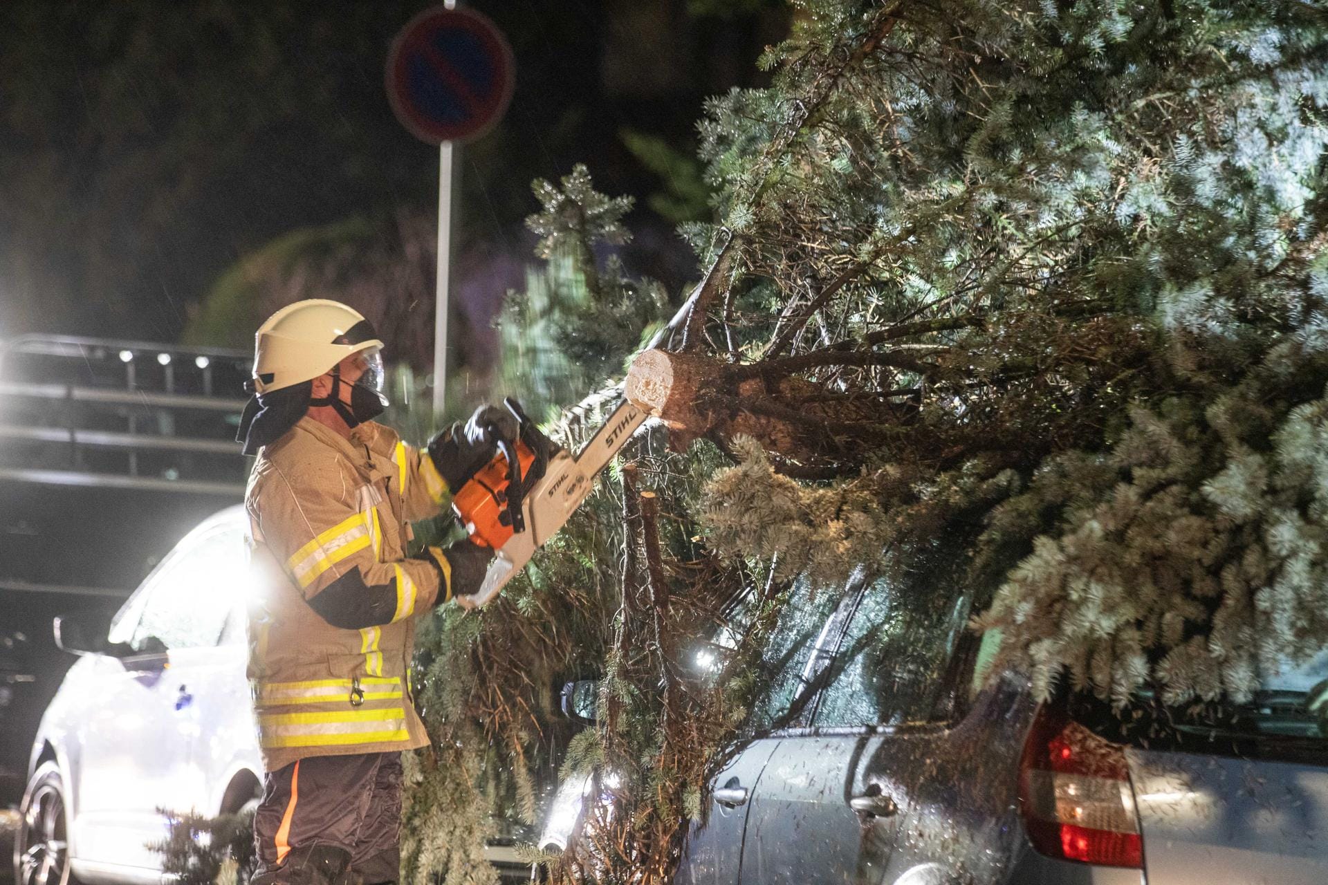 Baden-Württemberg, Fellbach: Dort stürzte ein Baum auf ein Autodach und musste von der Feuerwehr entfernt werden.