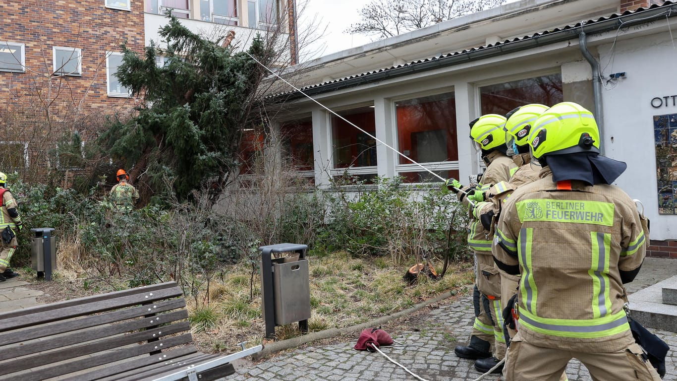 Ein Baum ist umgestürzt und auf das Dach der Otto-Wels-Grundschule im Bezirk Friedrichshain-Kreuzberg gefallen: Tagelang war die Feuerwehr in Berlin im Dauereinsatz.