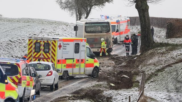 Linienbus prallt gegen Baum