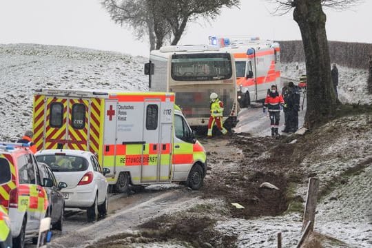 Linienbus prallt gegen Baum