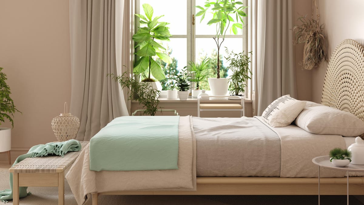 Sind Pflanzen im Schlafzimmer schädlich? Das sollten Sie beachten