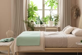 Grünes Schlafzimmer: Vieles spricht dafür, sich Pflanzen ans Bett zu stellen.
