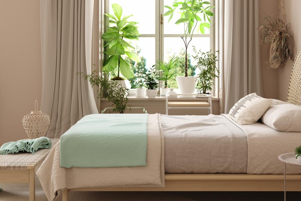 Grünes Schlafzimmer: Vieles spricht dafür, sich Pflanzen ans Bett zu stellen.