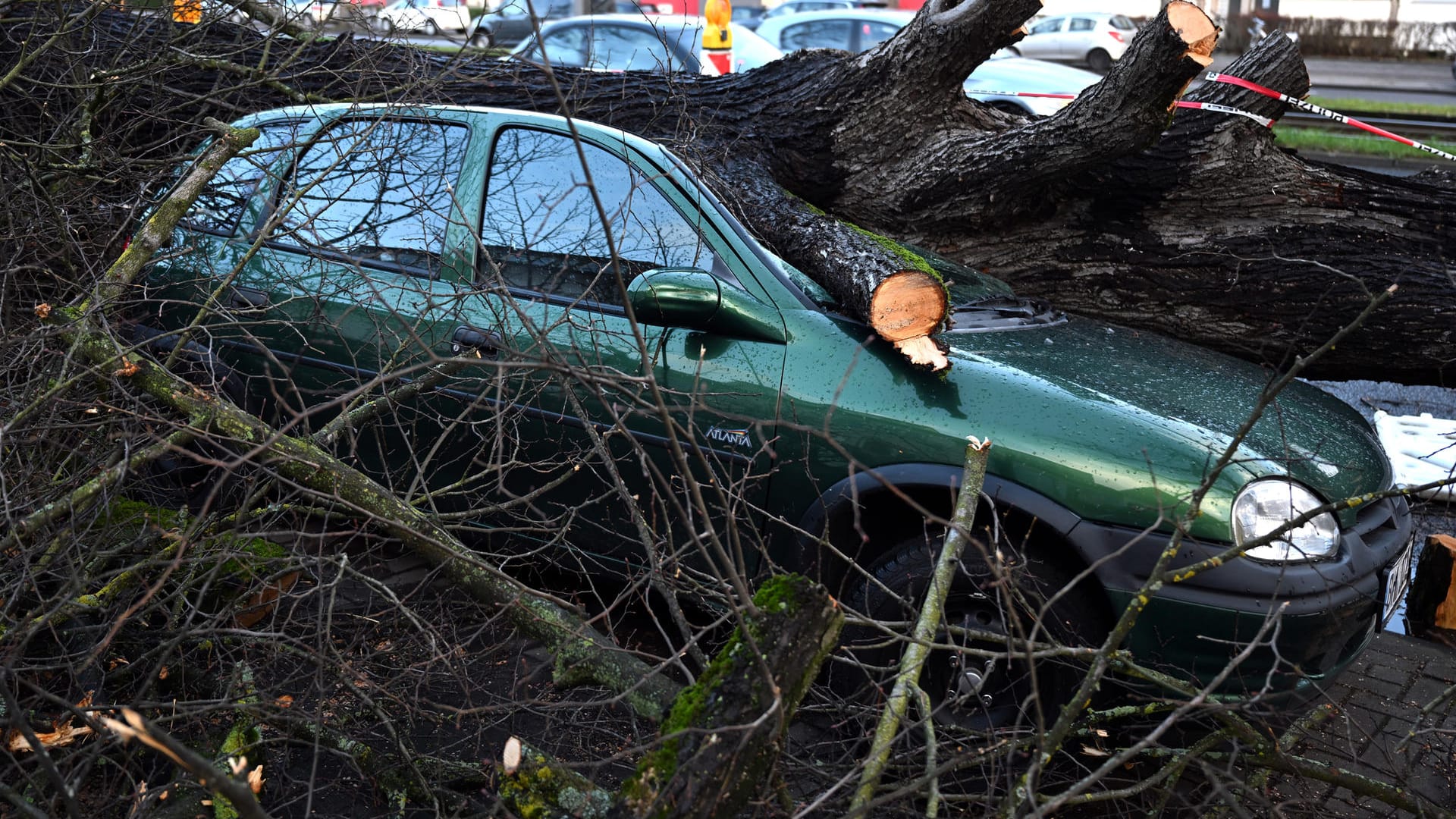 Nordrhein-Westfalen, Köln: Ein Auto wurde von einem umgestürzten Baum getroffen. Auch zahlreiche Hausdächer und eine Busoberleitung wurden von dem Sturm zerstört.