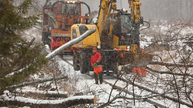 Schmalspurbahn beseitigt Schäden