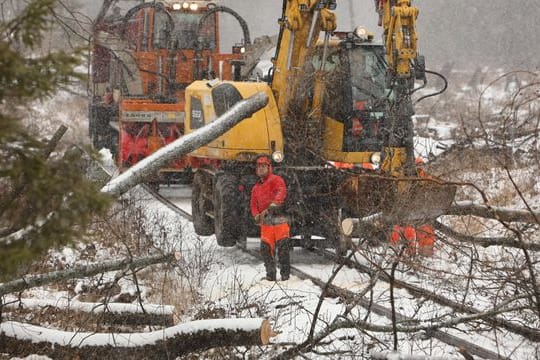 Schmalspurbahn beseitigt Schäden