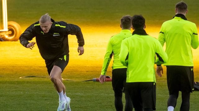 Erling Haaland Erling Haaland