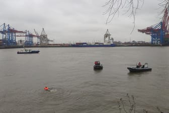 Hamburger Hafenbecken: Ein Mann war ins Becken gesprungen und widersetzte sich der Polizei.