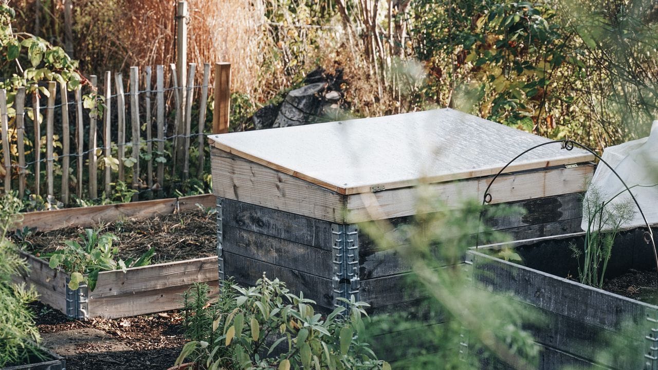 Früher als gedacht: Die Saison im Gemüsegarten beginnt meist schon Ende Februar. Früher als gedacht: Die Saison im Gemüsegarten beginnt meist schon Ende Februar.