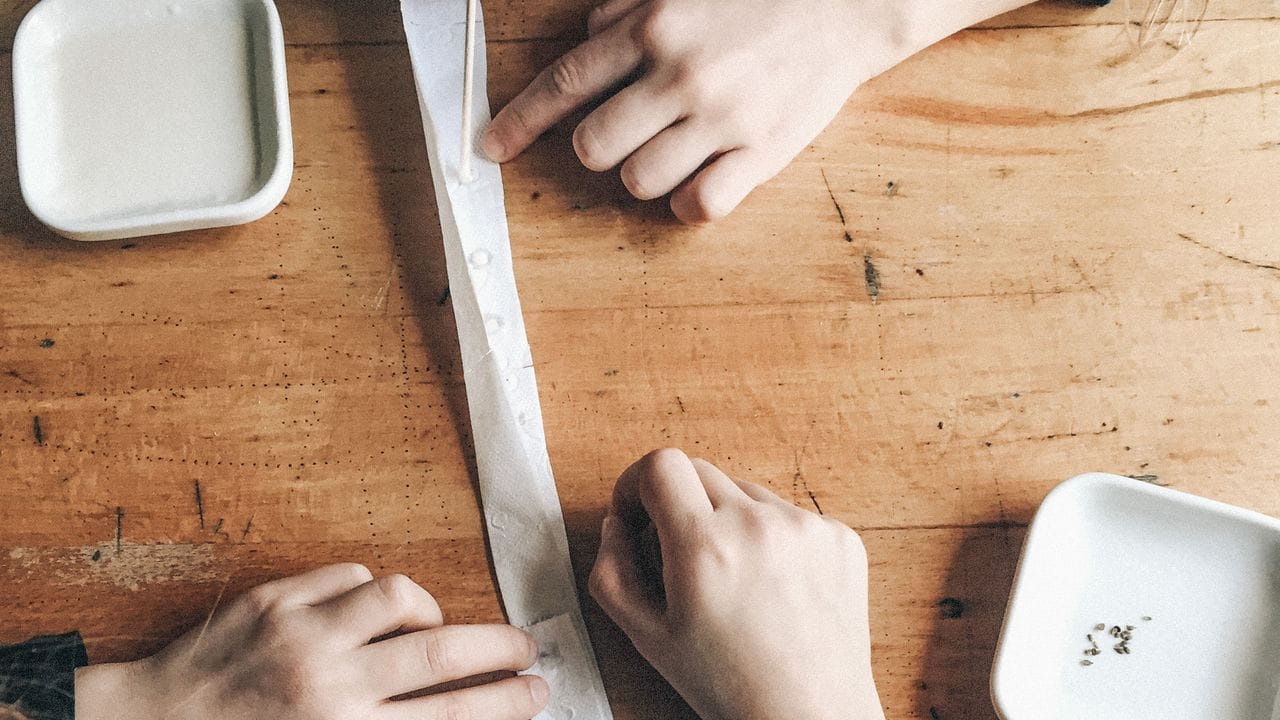 Saatbänder lassen sich einfach selbst machen, etwa aus einem Streifen Toilettenpapier. Saatbänder lassen sich einfach selbst machen, etwa aus einem Streifen Toilettenpapier.