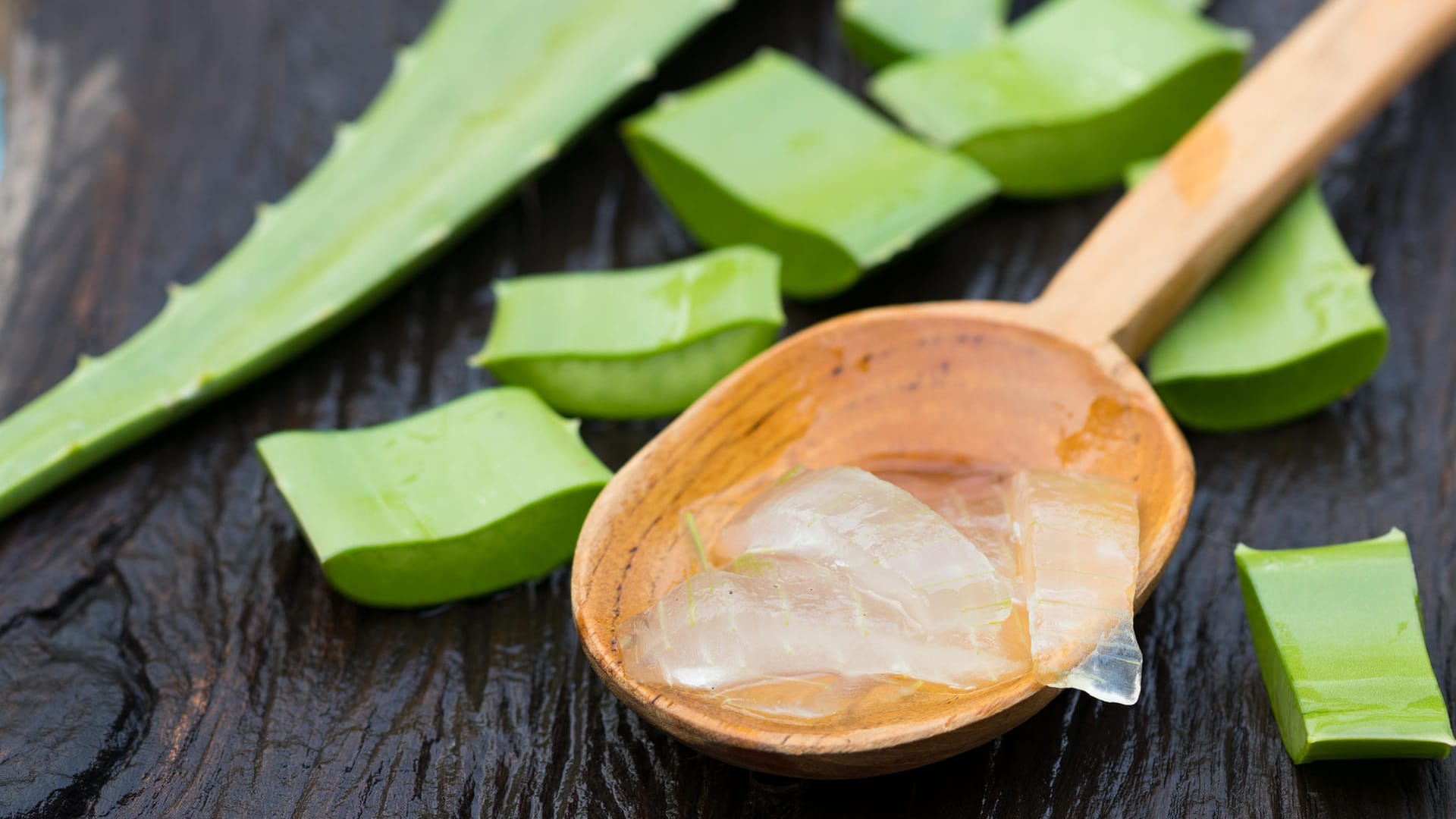 Alleskönner Aloe Vera: Das Gel der Pflanze hält jung, macht schön und kann sogar gegessen werden.