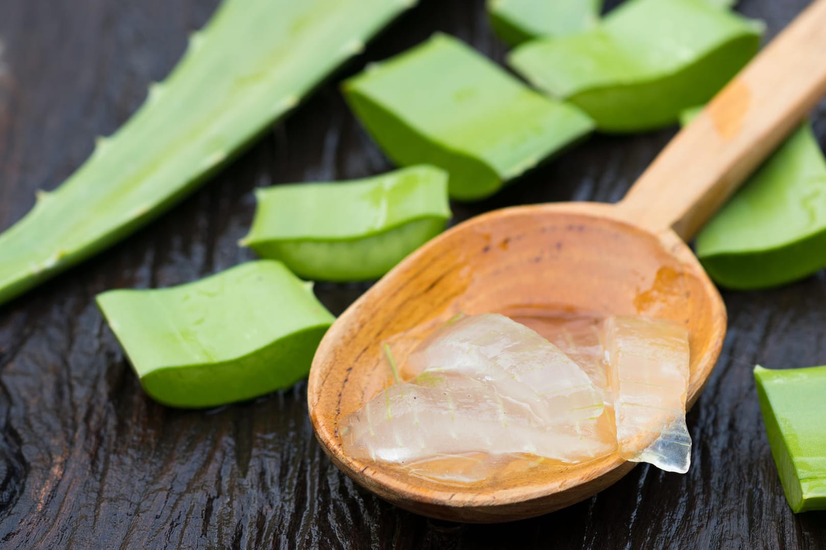 Alleskönner Aloe Vera: Das Gel der Pflanze hält jung, macht schön und kann sogar gegessen werden.