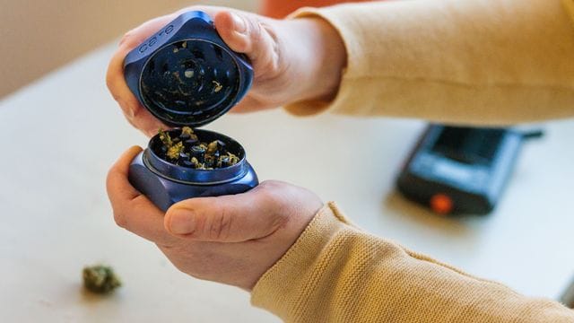 Eine Frau öffnet einen Grinder, in dem medizinisches Cannabis zerkleinert wurde. Eine Frau öffnet einen Grinder, in dem medizinisches Cannabis zerkleinert wurde.