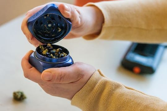 Eine Frau öffnet einen Grinder, in dem medizinisches Cannabis zerkleinert wurde.