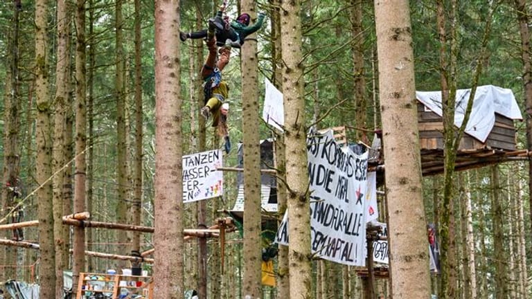 Klimaschützer im Altdorfer Wald